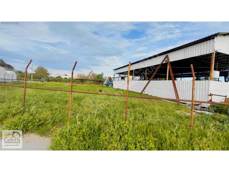 Kundu’da Kiralık Çiftlik